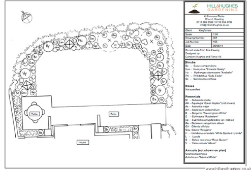 Planting plan for Henley garden