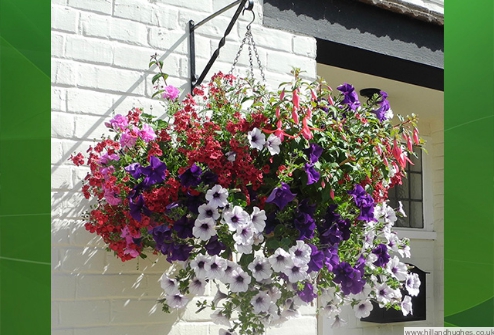 Mobile basket and pot planting