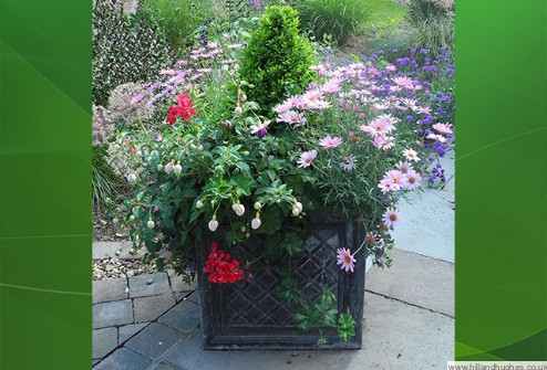 Mobile basket and pot planting