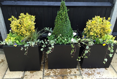 Mobile basket and pot planting